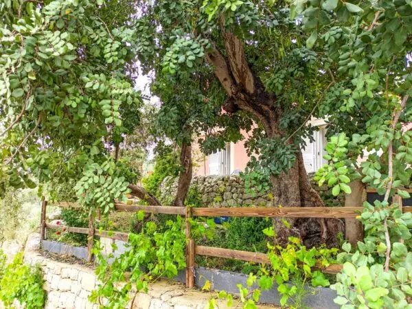 Villa via Villa Barco Snc, Modica