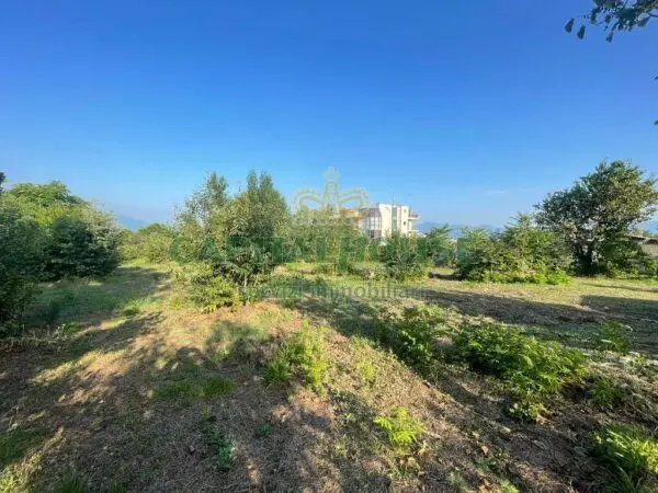 Terreno Agricolo via, Ottaviano