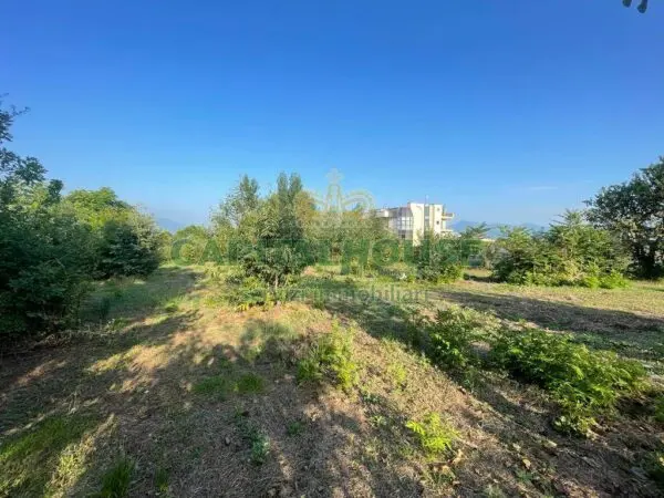 Terreno Agricolo via, Ottaviano