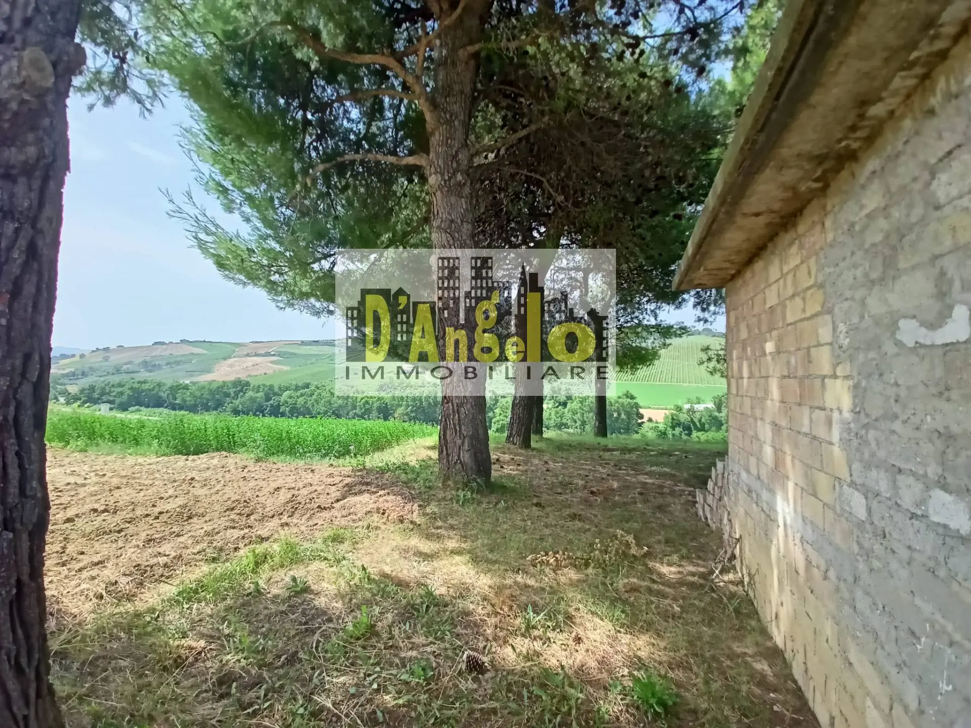 Immagine per Rustico/Casale in vendita a Offida contrada tesino 