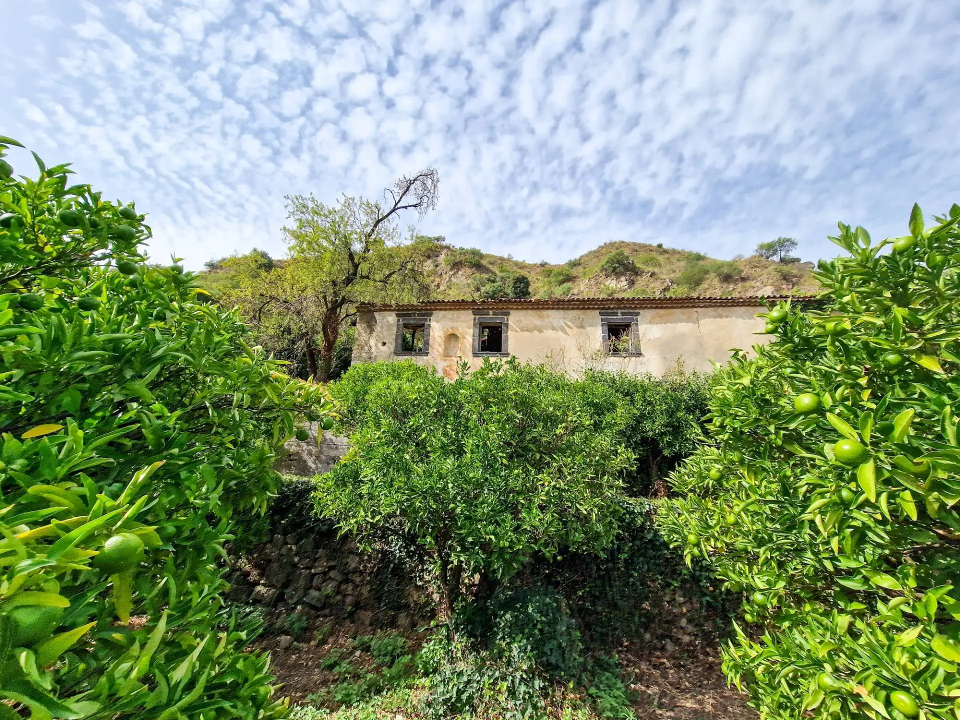 Immagine per Rustico/Casale in vendita a Castiglione di Sicilia strada provinciale 81 snc