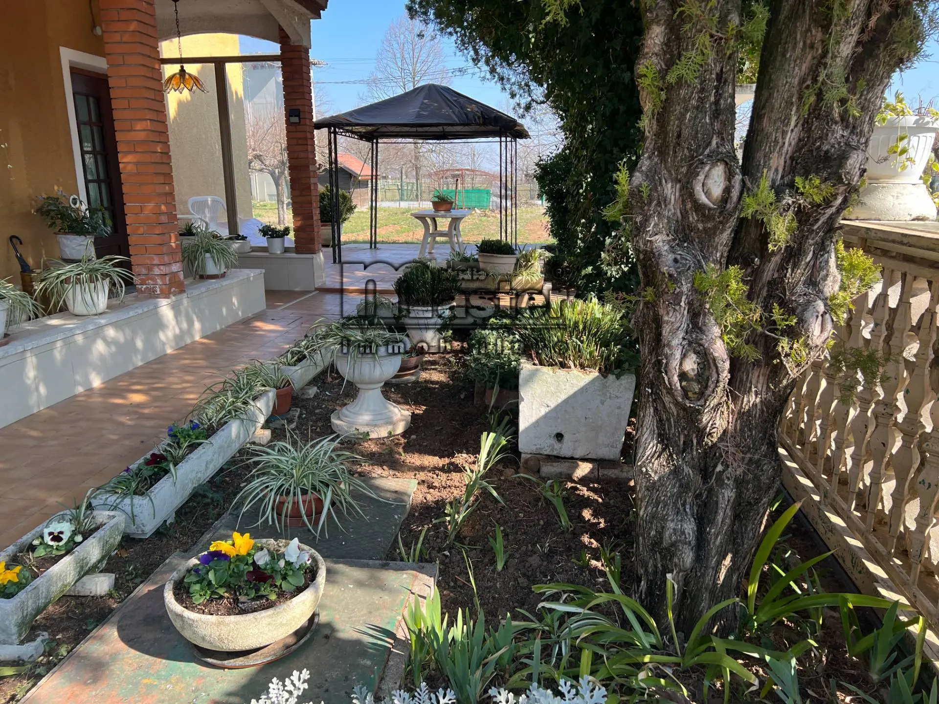 Immagine per Villa in vendita a Paese VIA S.LUCA 