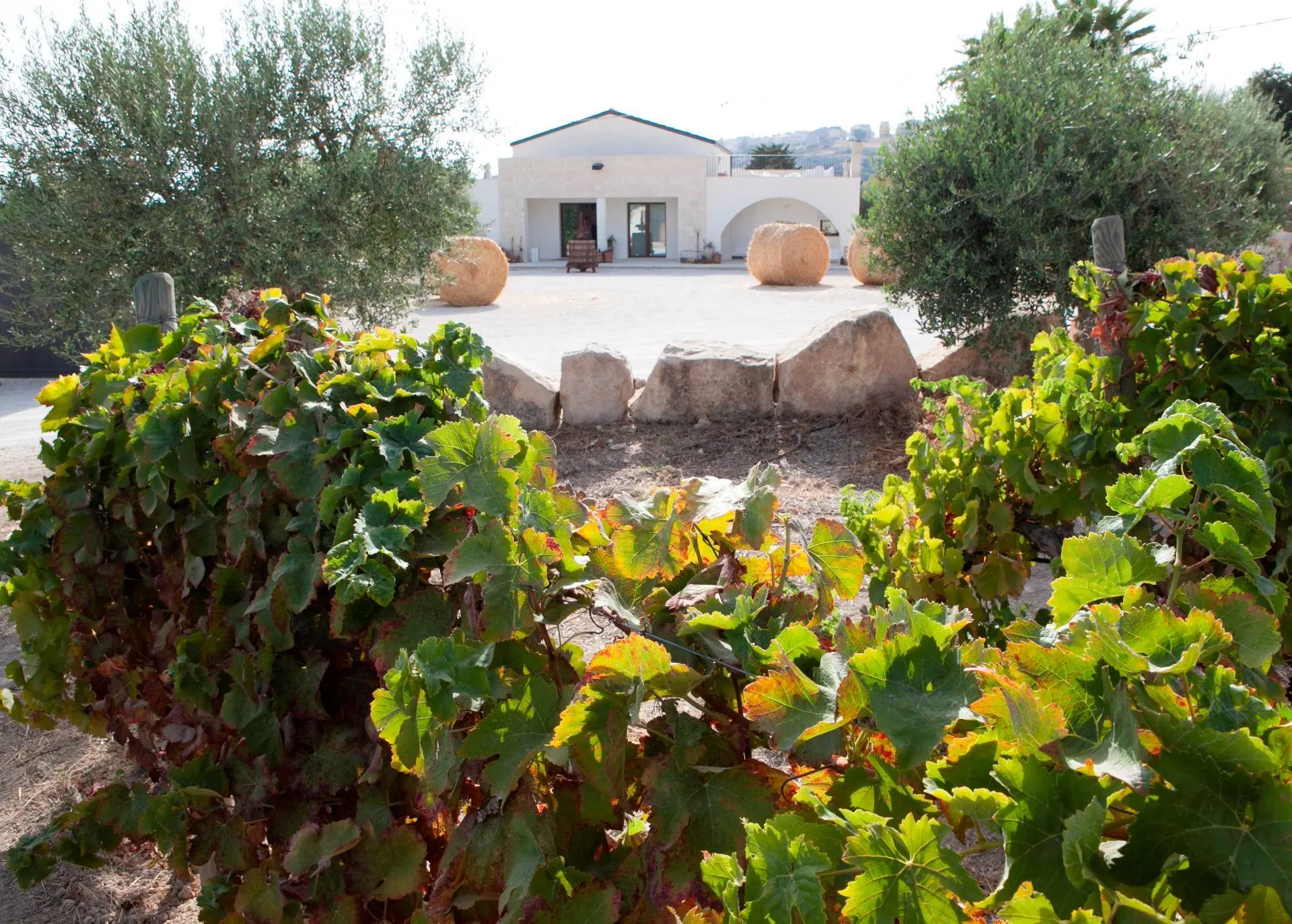 Immagine per Albergo/Hotel in affitto a Ispica contrada favara snc