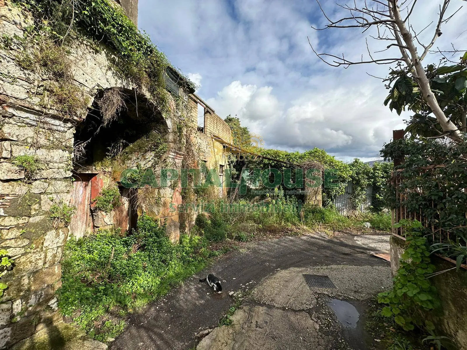 Immagine per Rustico/Casale in vendita a Massa di Somma