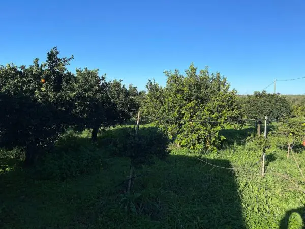 Villa via Bommiscuro, Noto