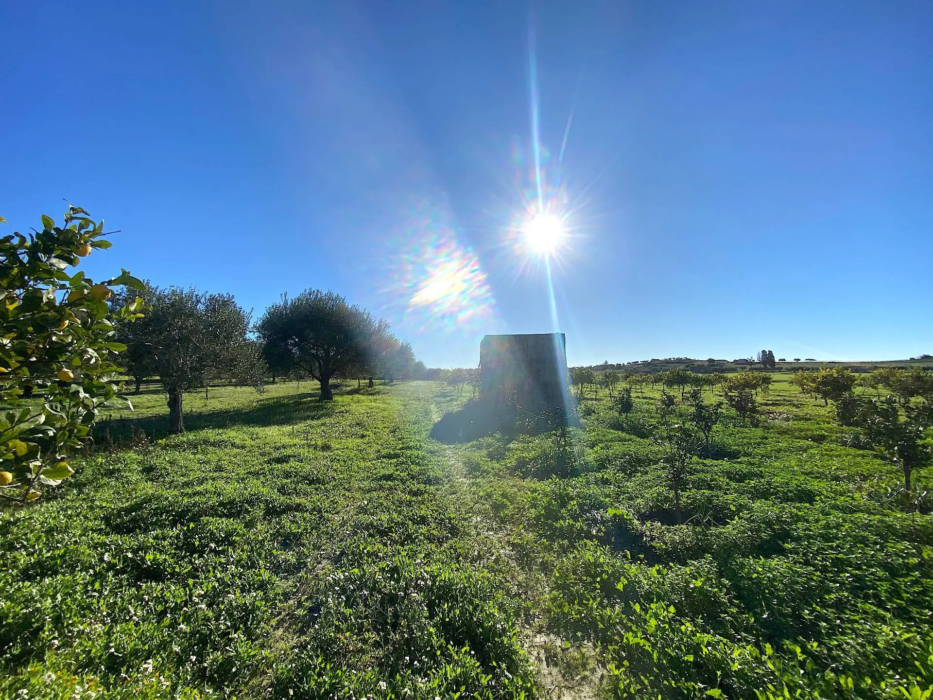 Immagine per Villa in vendita a Noto bommiscuro 