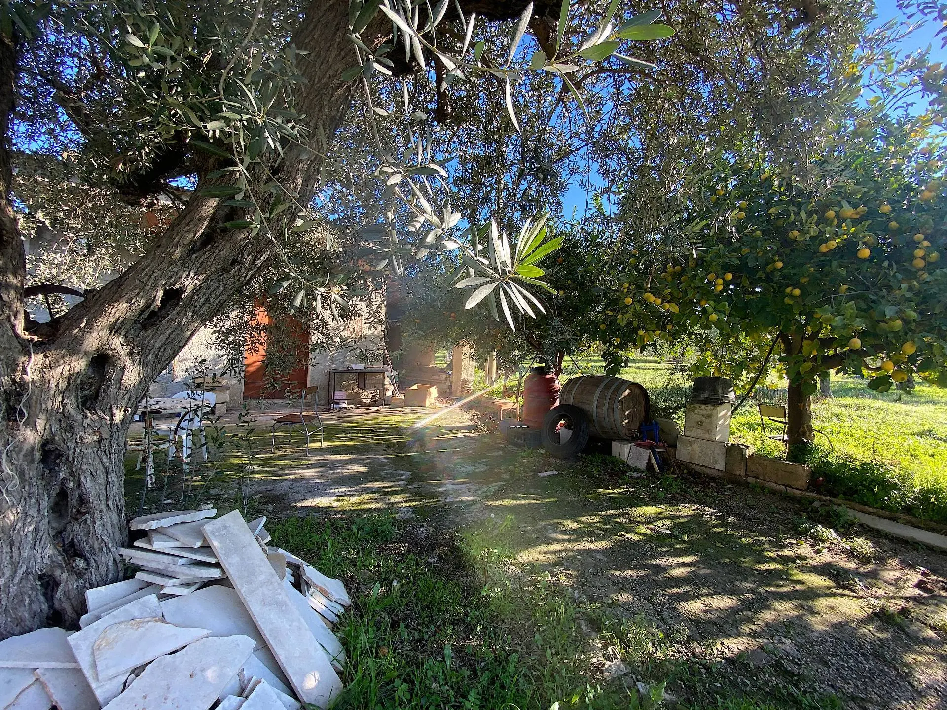 Immagine per Villa in vendita a Noto bommiscuro 