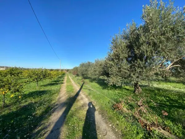 Villa via Bommiscuro, Noto