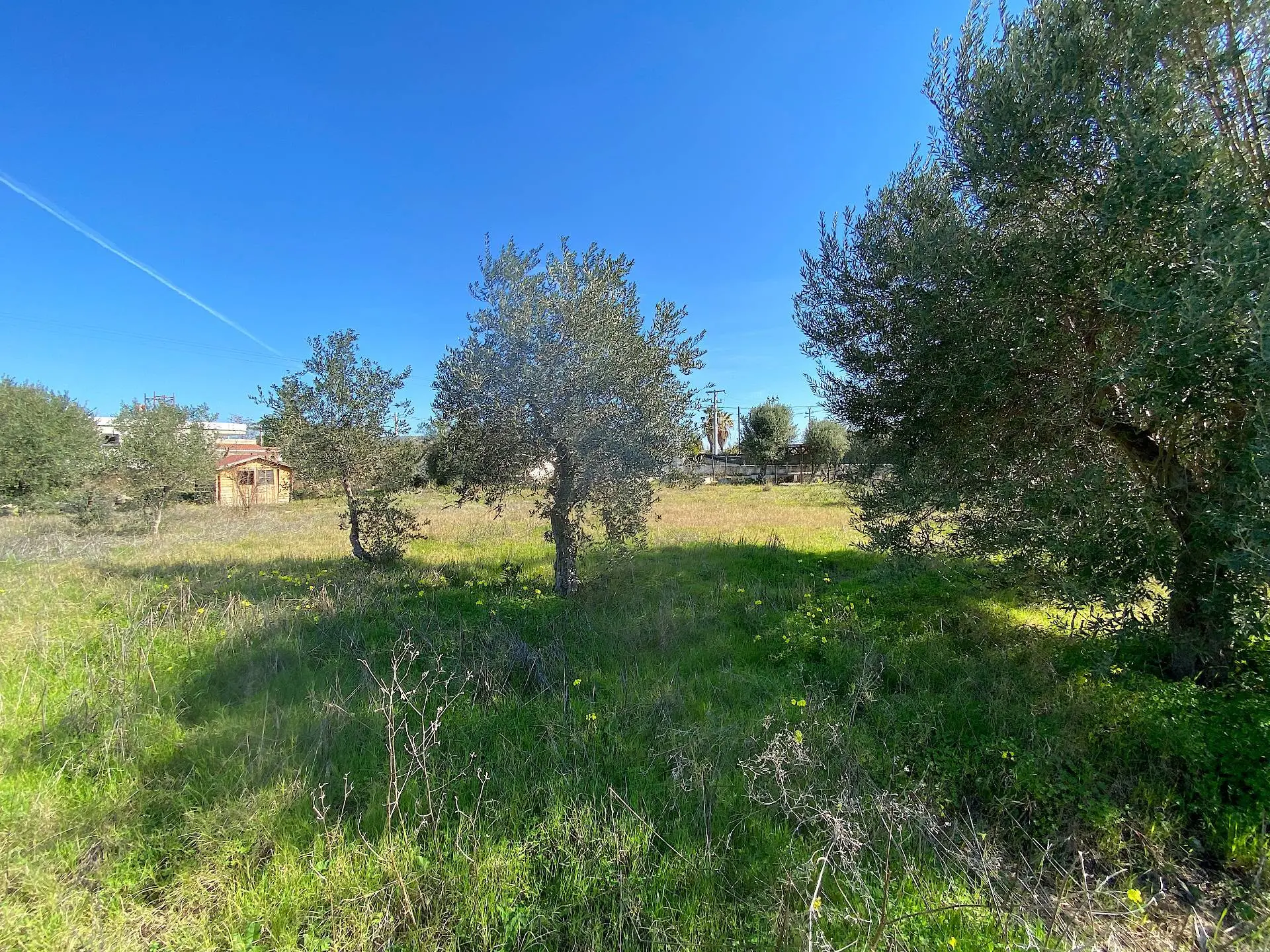 Immagine per Terreno Edificabile in vendita a Siracusa traversa renella 