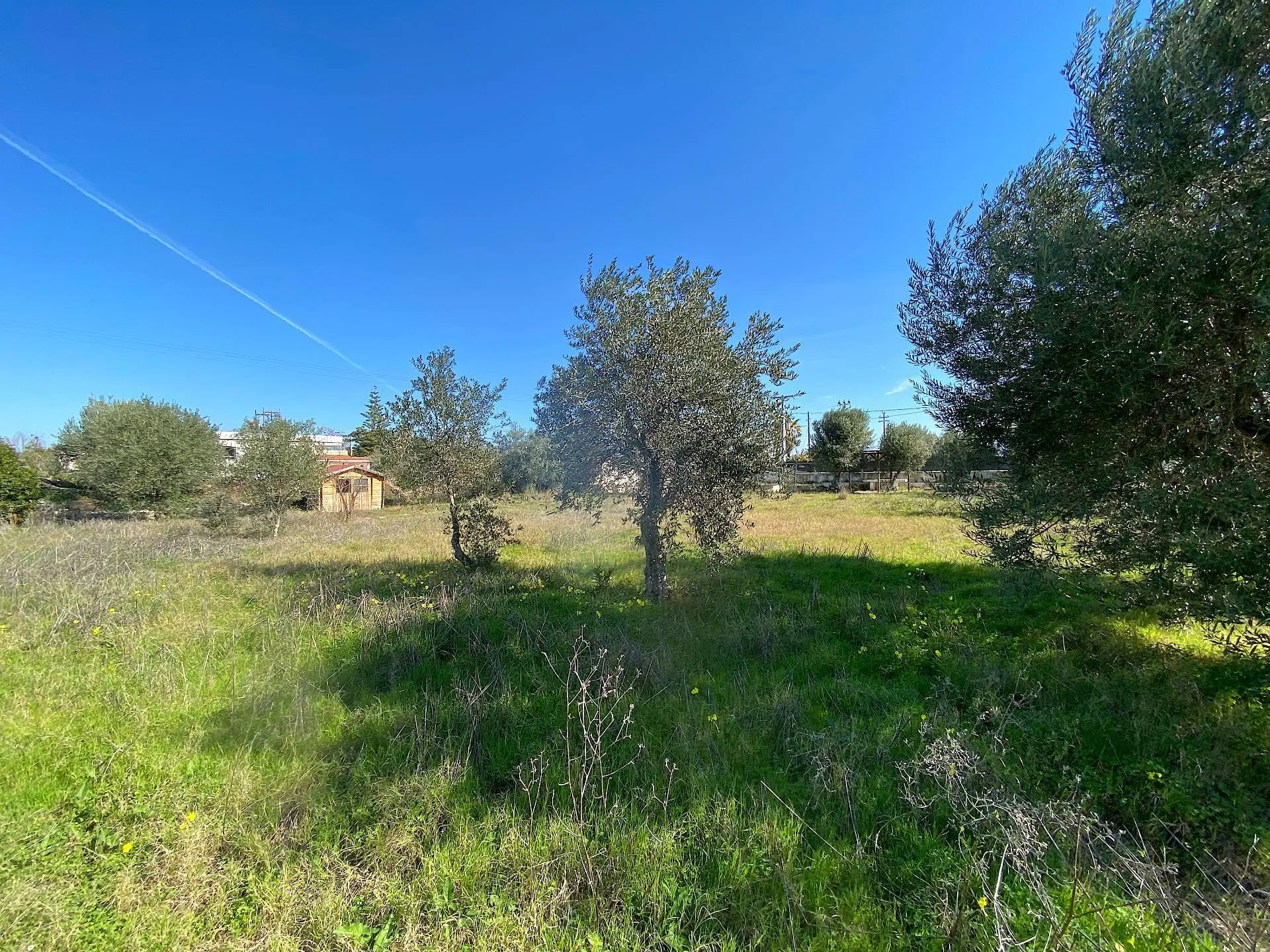 Immagine per Terreno Edificabile in vendita a Siracusa traversa renella 