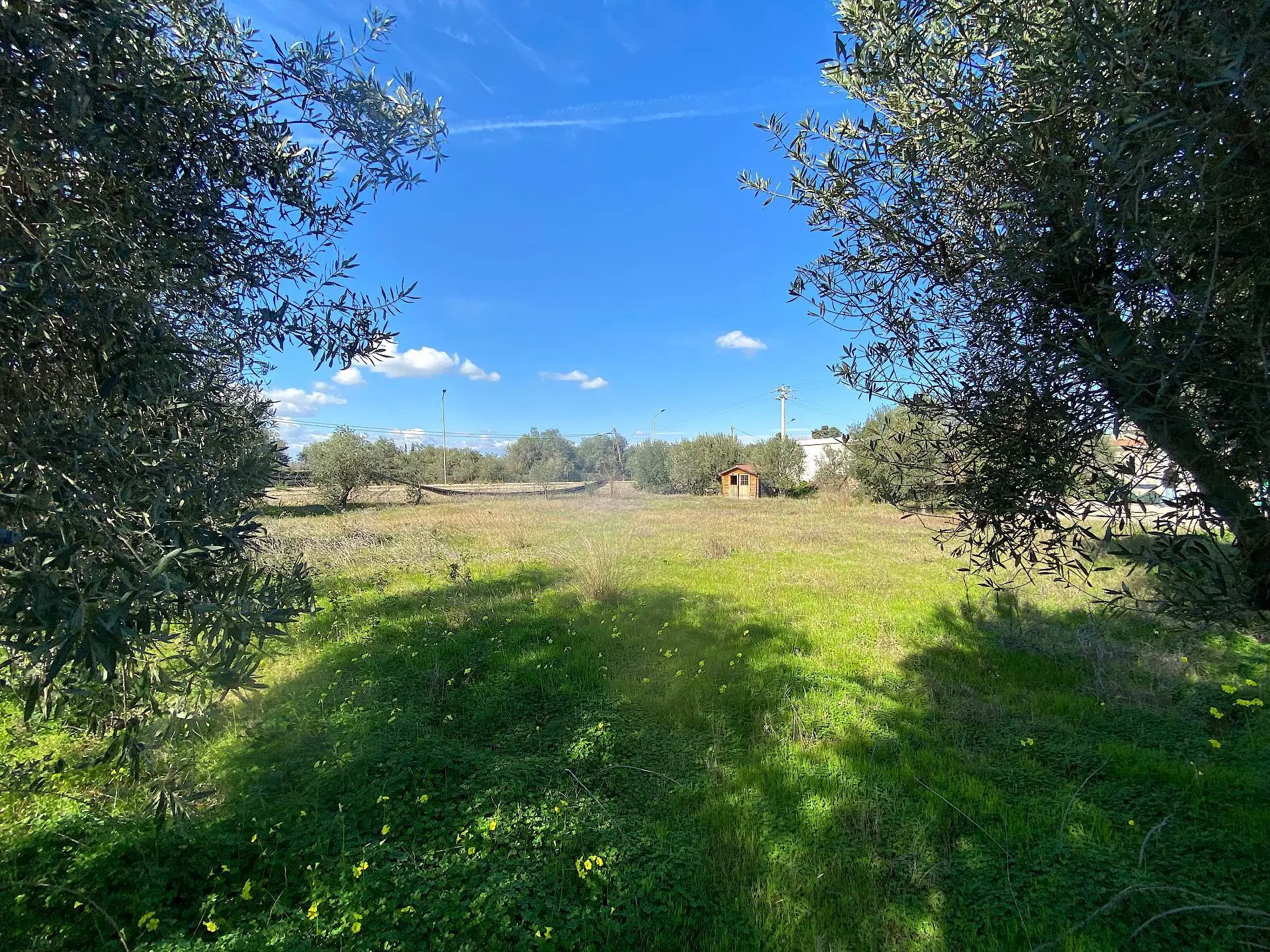 Immagine per Terreno Edificabile in vendita a Siracusa traversa renella 