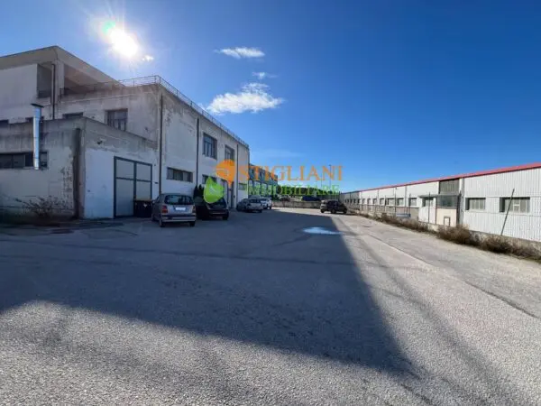 Locale Commerciale via Zona Industriale, Campobasso