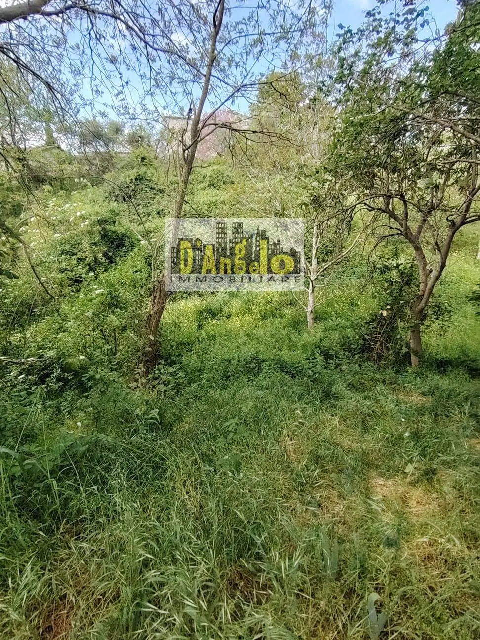 Immagine per Rustico/Casale in vendita a Petritoli Contrada Sant'Antonio 
