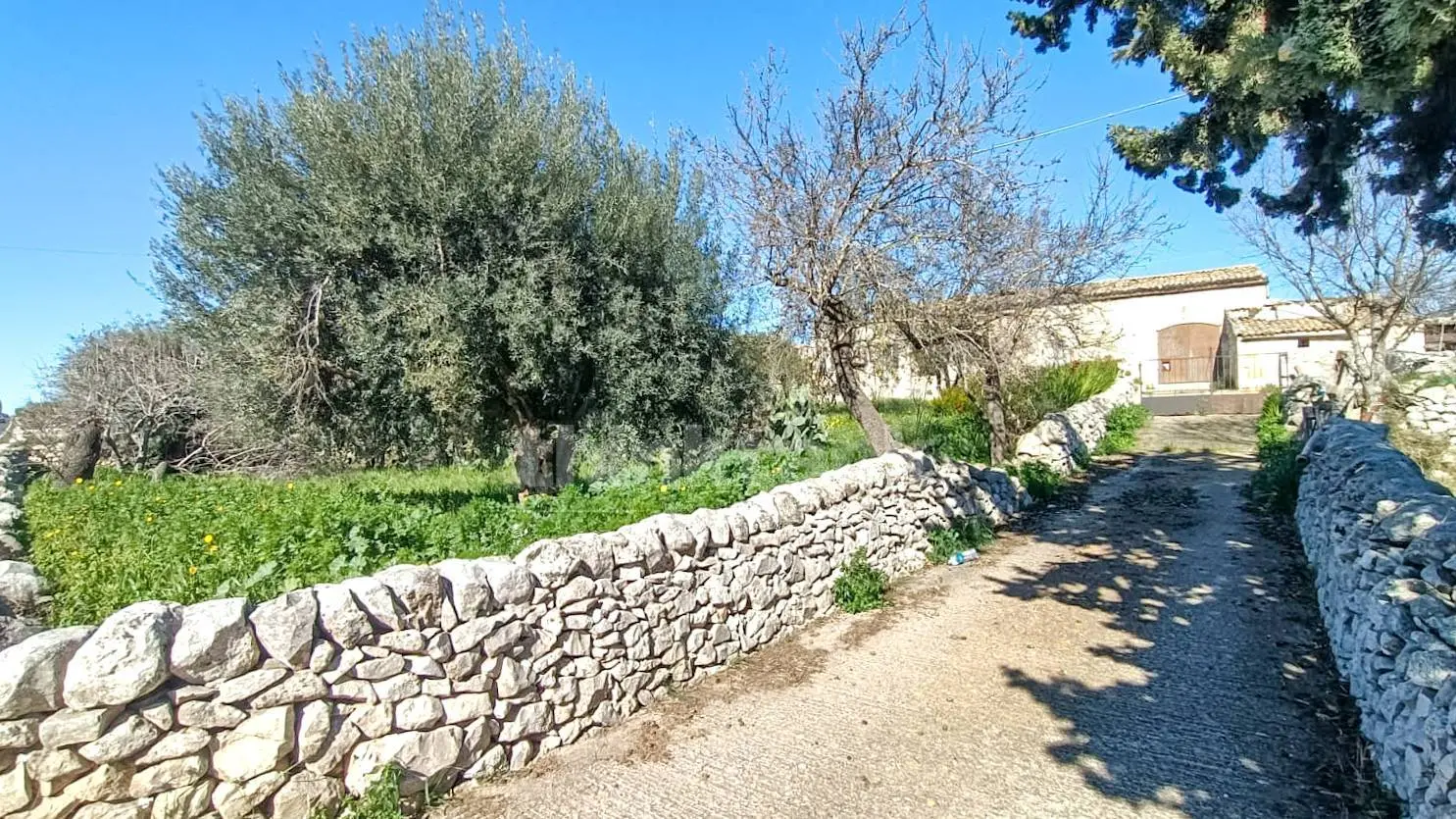 Immagine per Rustico/Casale in vendita a Modica VIa Modica Ispica snc
