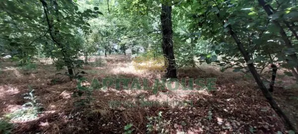 Terreno Agricolo via, Massa Di Somma