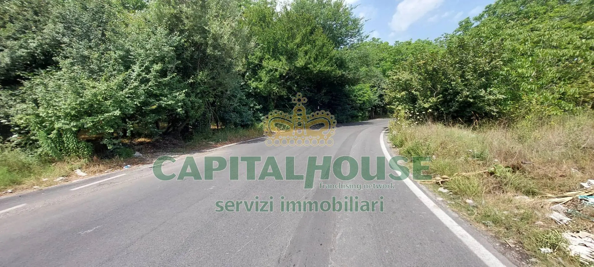 Immagine per Terreno Agricolo in affitto a Massa di Somma  