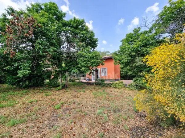Casa Indipendente via Vena Snc, Piedimonte Etneo