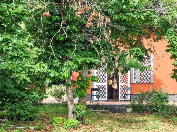 Casa Indipendente via Vena Snc, Piedimonte Etneo