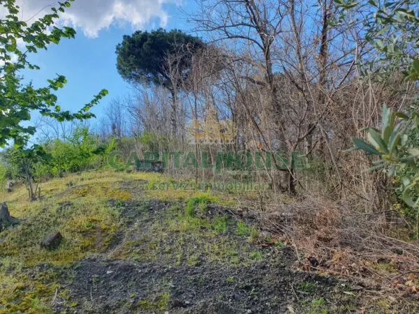 Terreno Agricolo via, Ottaviano
