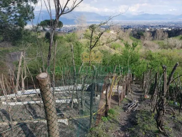 Terreno Agricolo via, Ottaviano