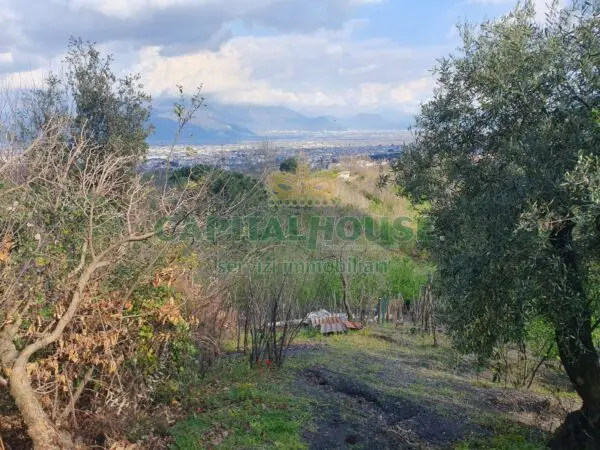 Terreno Agricolo via, Ottaviano