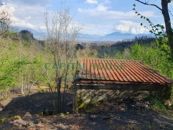 Terreno Agricolo via, Ottaviano