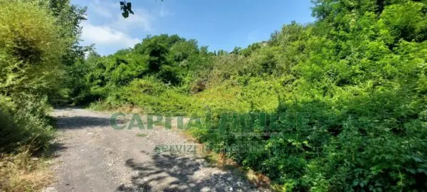 Terreno Agricolo via, Ottaviano