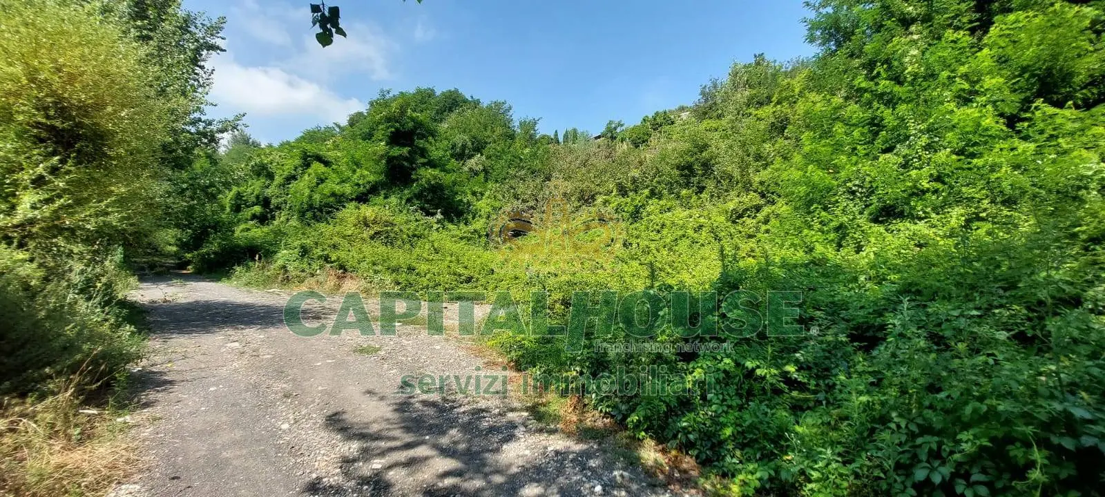 Immagine per Terreno Agricolo in vendita a Ottaviano  