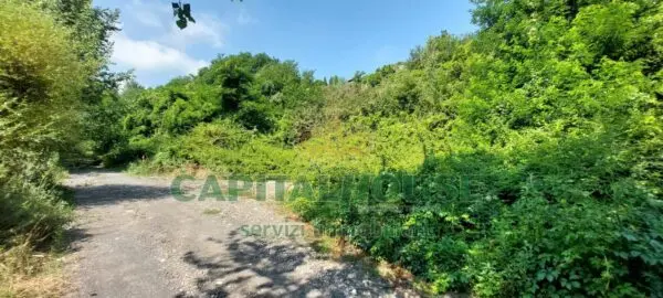 Terreno Agricolo via, Ottaviano