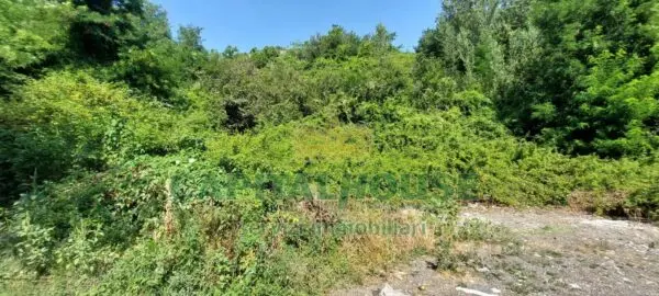 Terreno Agricolo via, Ottaviano