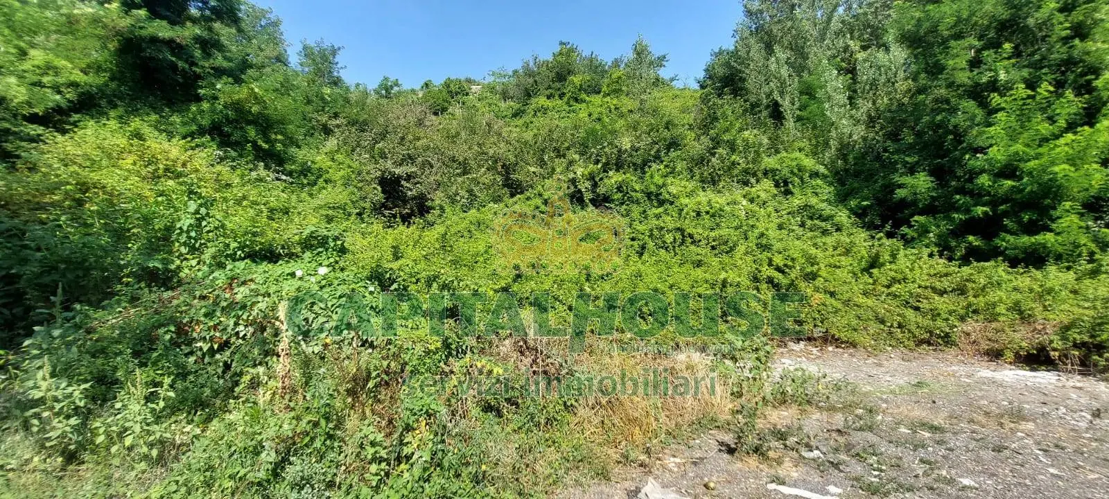 Immagine per Terreno Agricolo in vendita a Ottaviano  