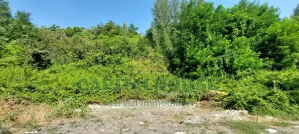 Terreno Agricolo via, Ottaviano