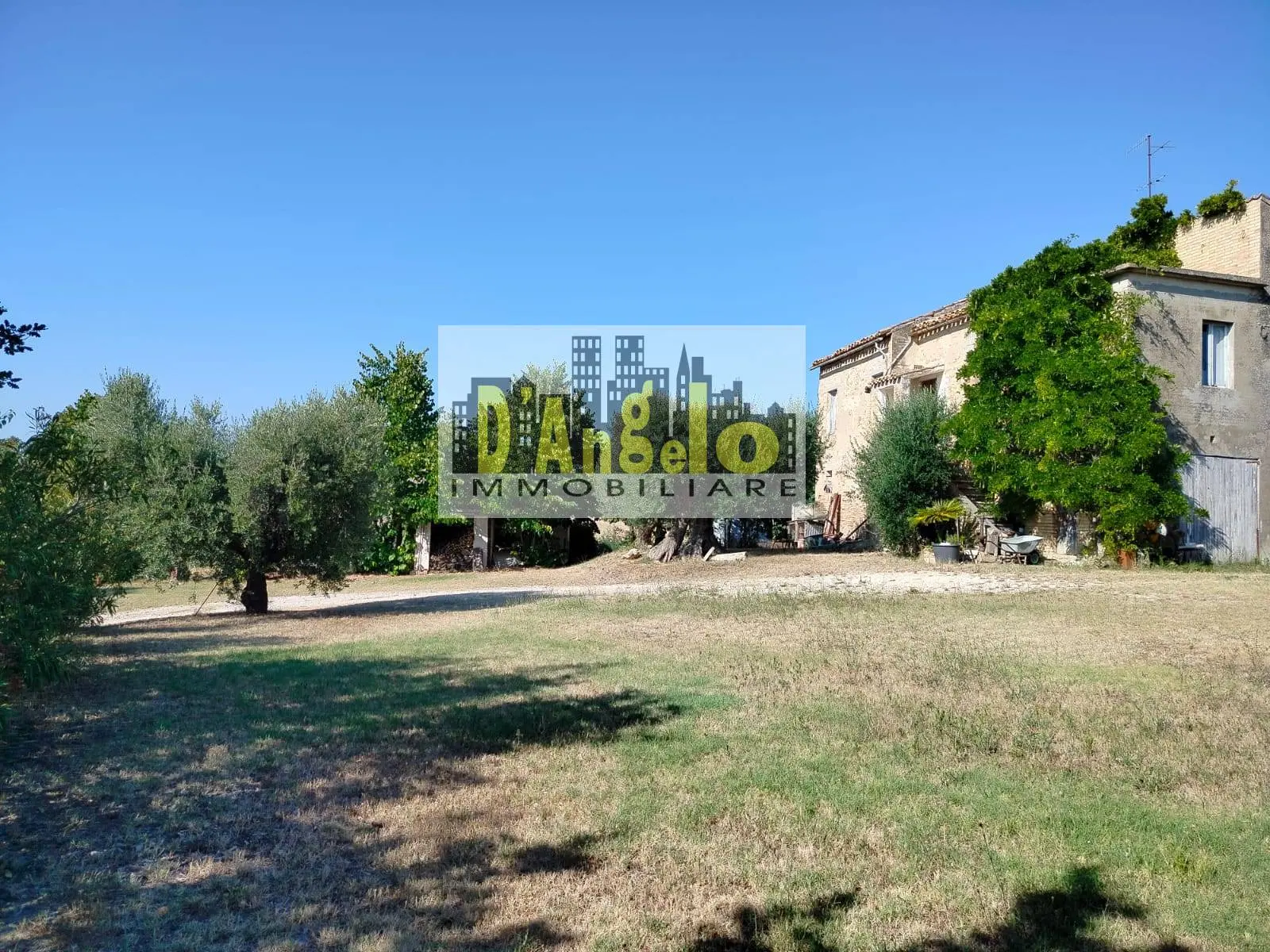 Immagine per Agriturismo in vendita a Offida Rovecciano 