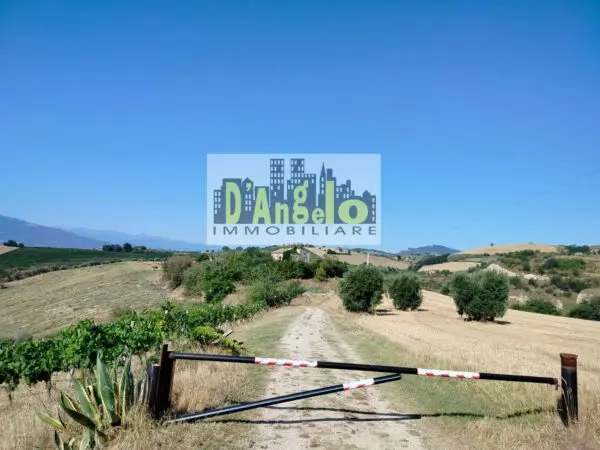 Agriturismo via Rovecciano, Offida