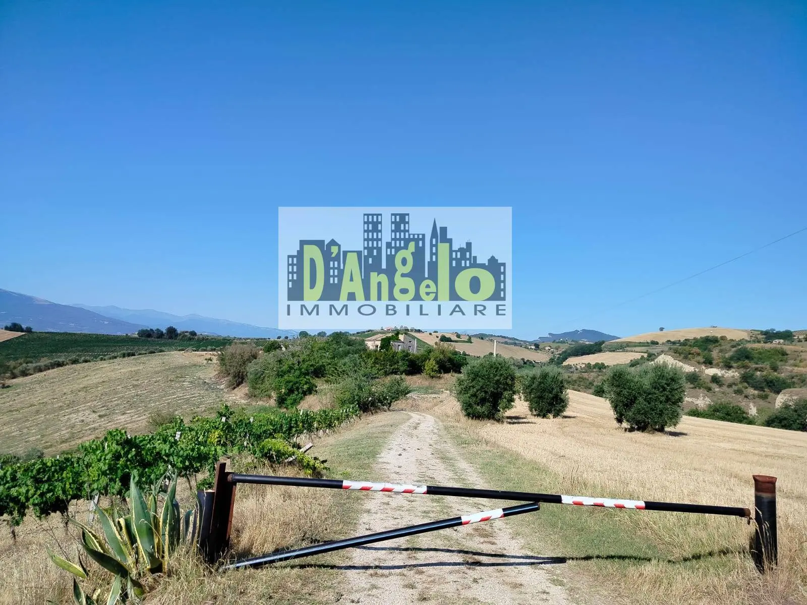 Immagine per Agriturismo in vendita a Offida Rovecciano 