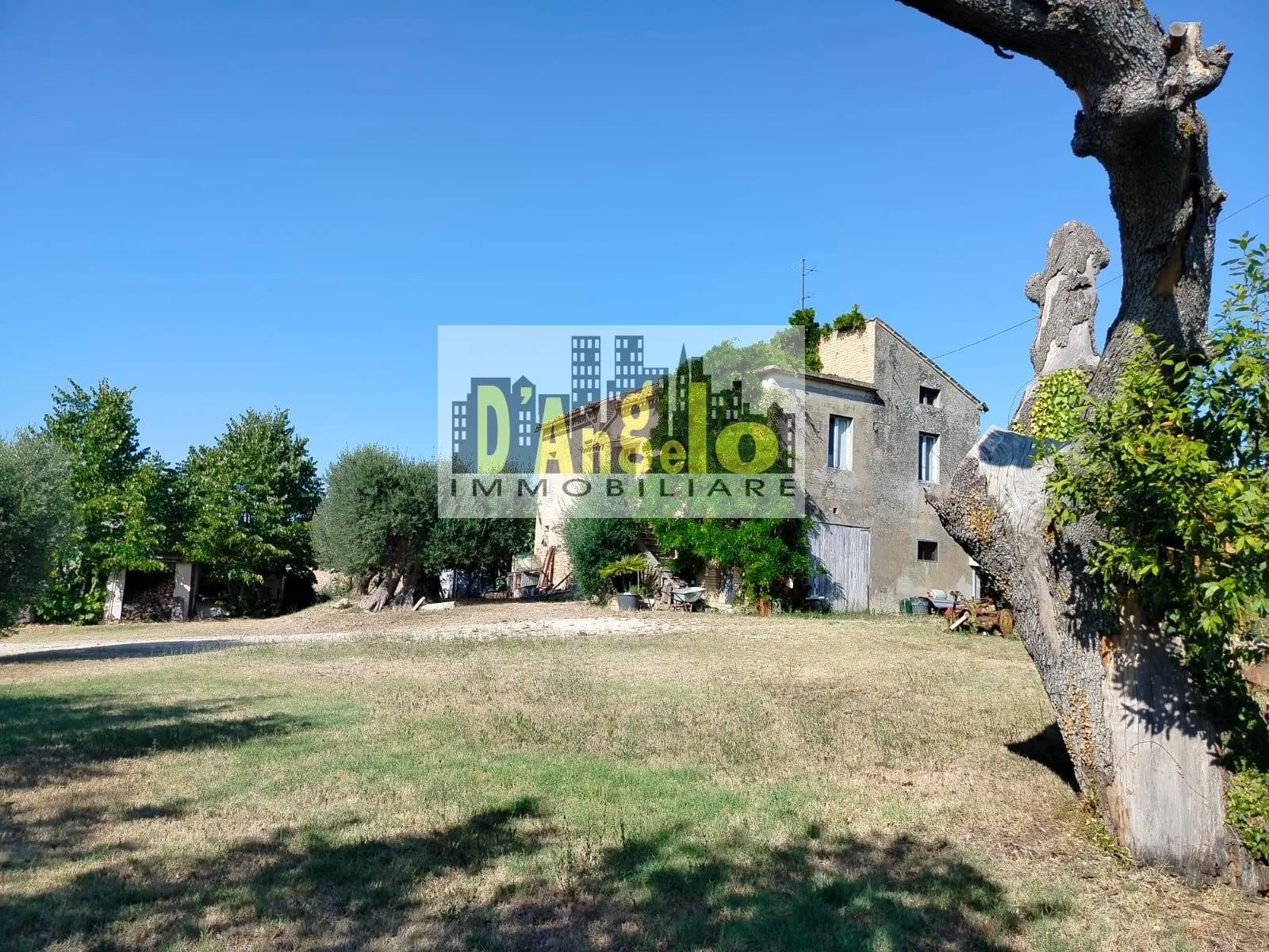 Immagine per Agriturismo in vendita a Offida Rovecciano 
