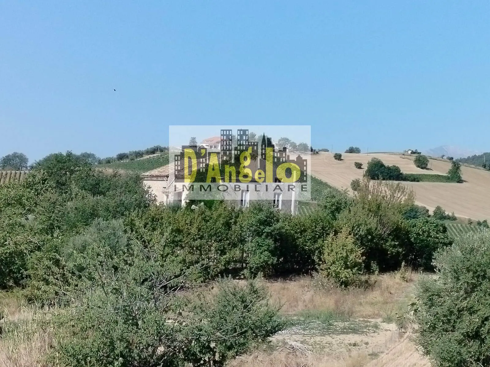 Immagine per Agriturismo in vendita a Offida Rovecciano 