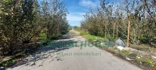 Terreno Agricolo via, Massa Di Somma