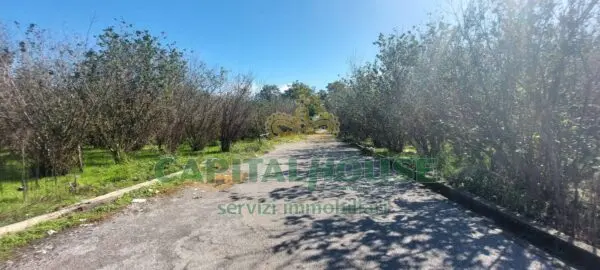 Terreno Agricolo via, Massa Di Somma