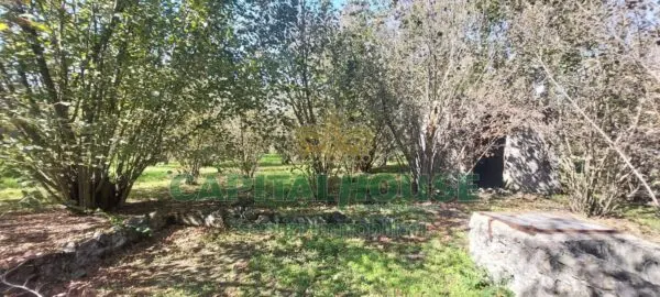 Terreno Agricolo via, Massa Di Somma