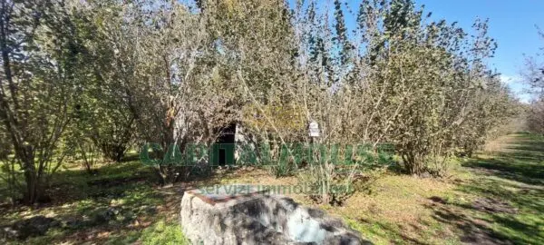 Terreno Agricolo via, Massa Di Somma