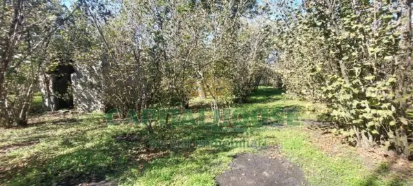 Terreno Agricolo via, Massa Di Somma