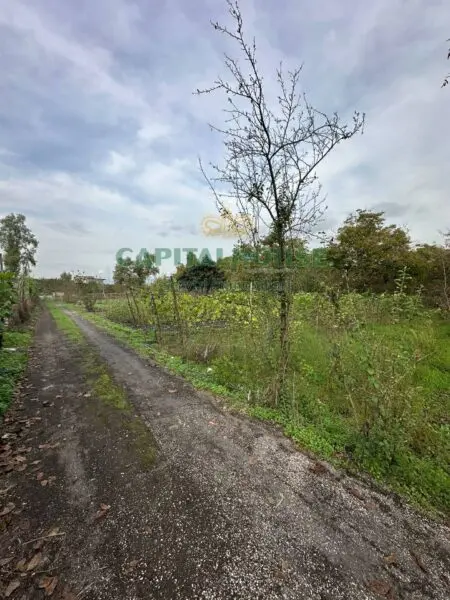 Terreno Industriale via Vasca Al Pianillo, San Giuseppe Vesuviano