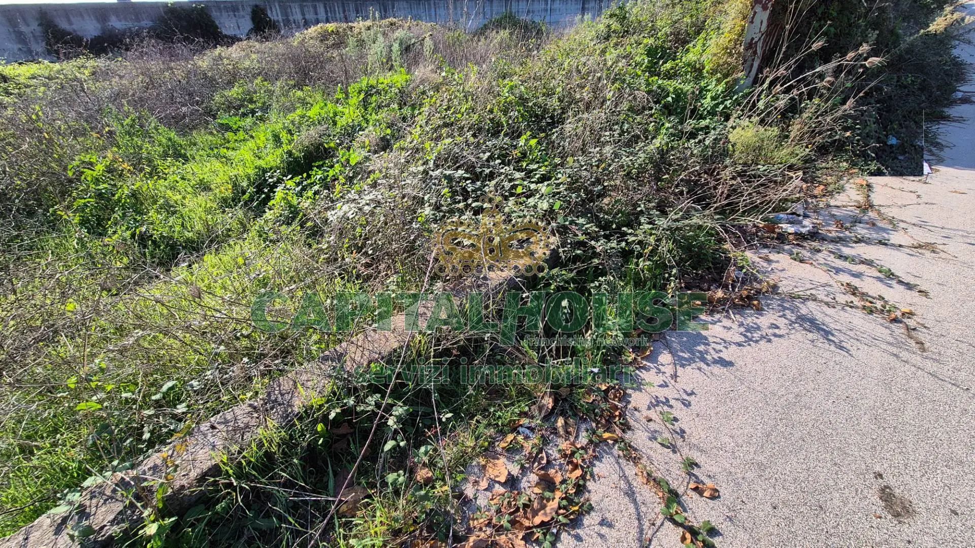 Immagine per Terreno Industriale in vendita a San Tammaro  