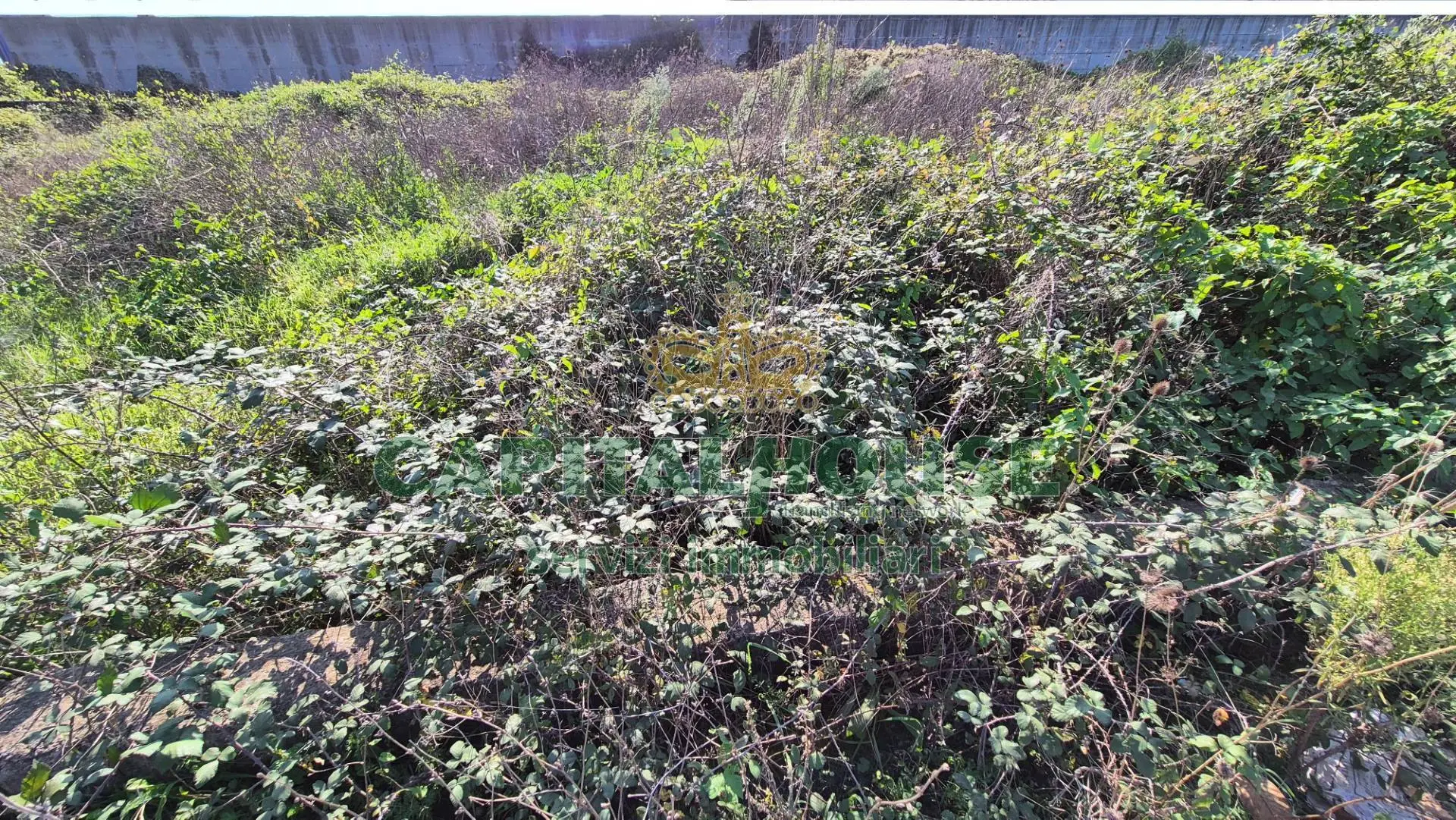 Immagine per Terreno Industriale in vendita a San Tammaro  
