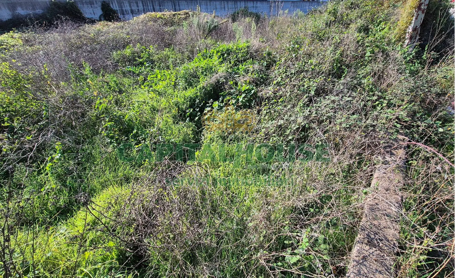 Immagine per Terreno Industriale in vendita a San Tammaro  
