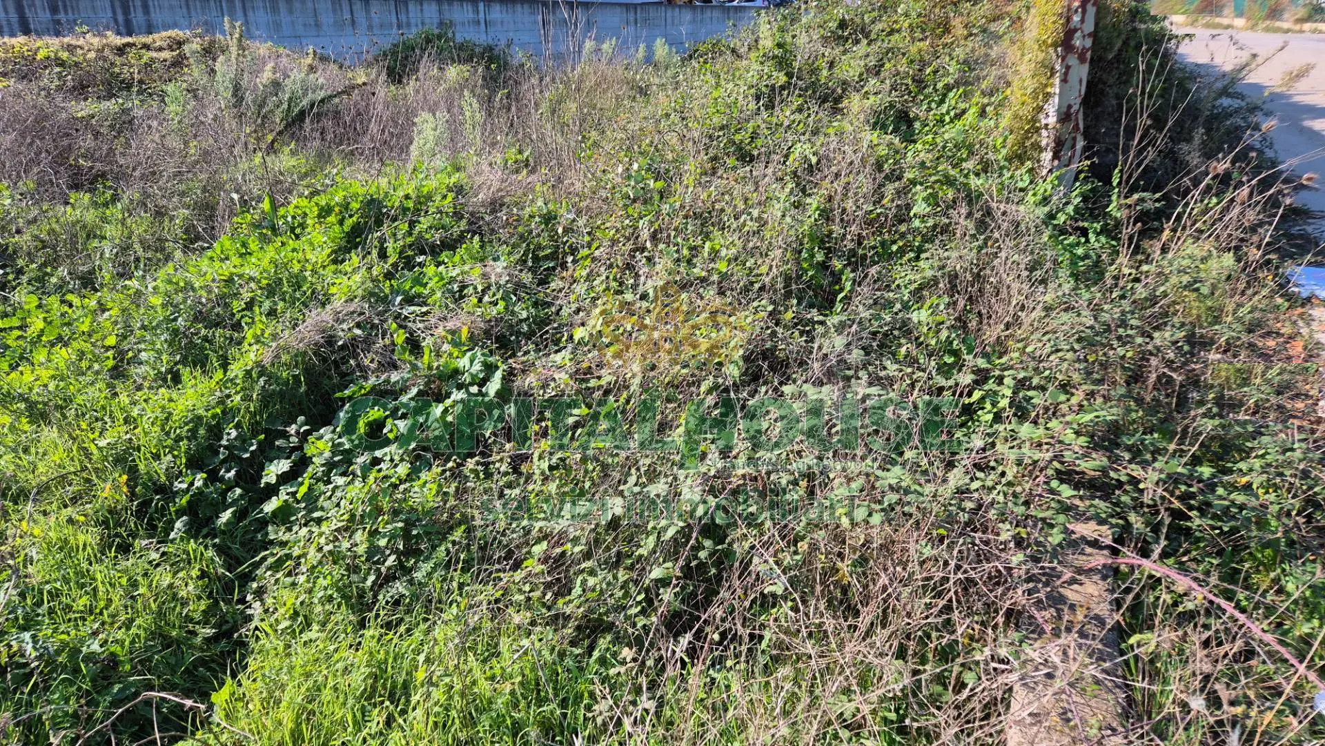 Immagine per Terreno Industriale in vendita a San Tammaro  