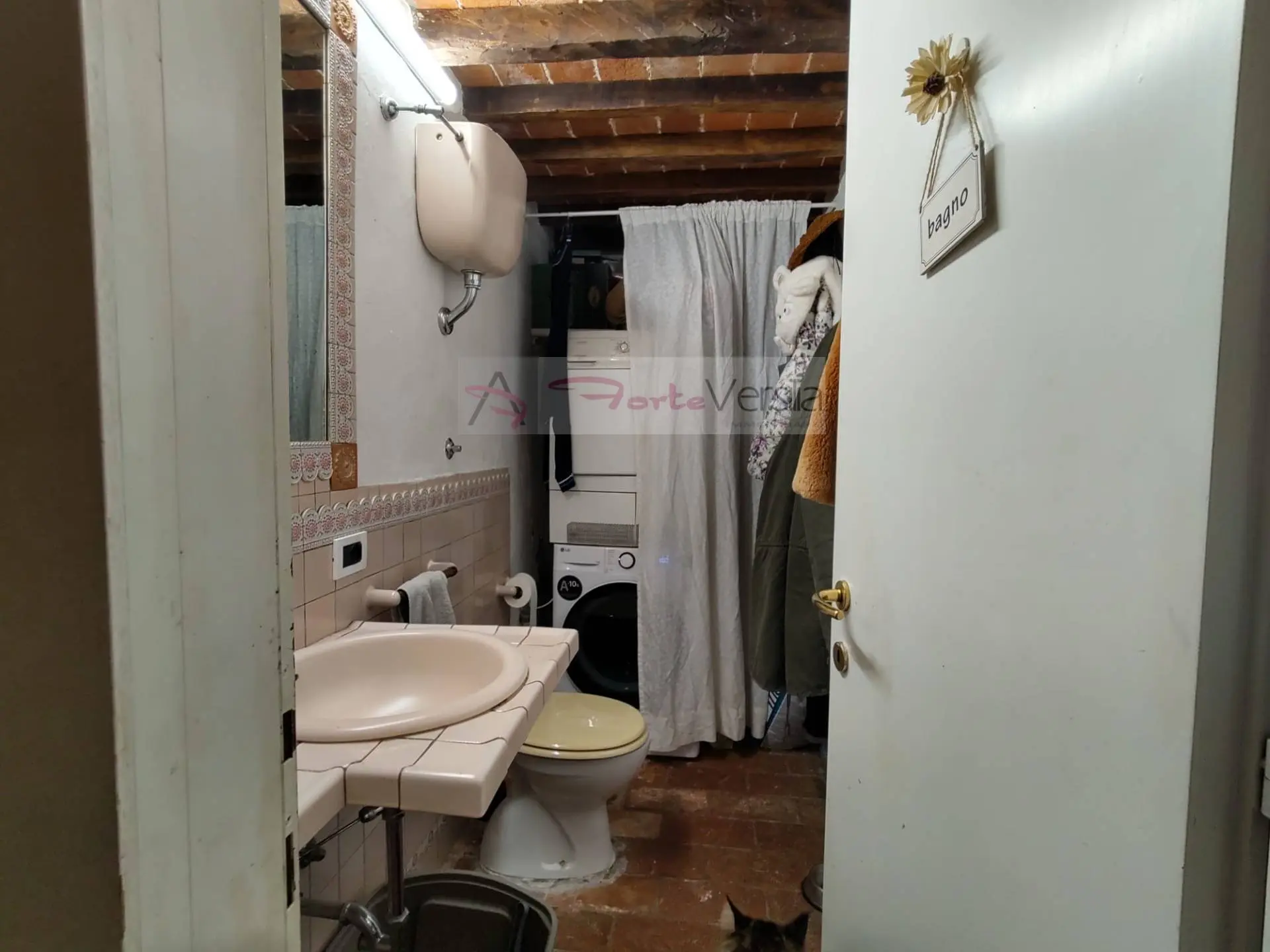 Immagine per Rustico/Casale in vendita a Pietrasanta  