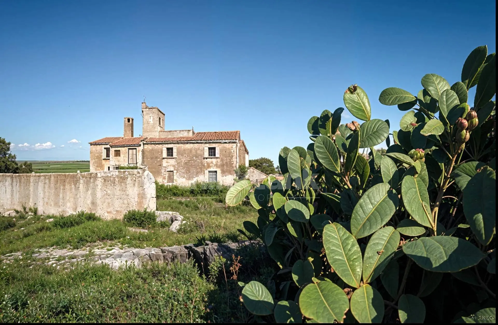 Immagine per Rustico/Casale in vendita a Siracusa via della galena 