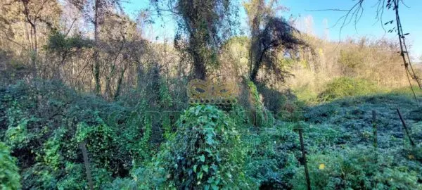 Terreno Agricolo via, Ottaviano